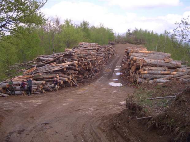 ŠPD ZDK prijeti kolaps