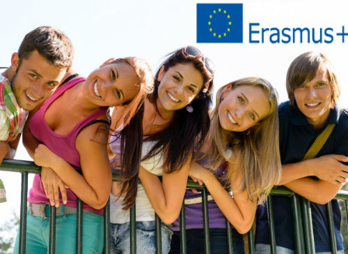 Potpora malim i srednjim preduzećima u području naukovanja