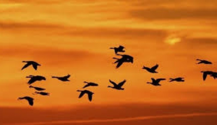 Na prostoru bivše Jugoslavije živi oko 1,8 miliona stanovnika manje nego 1991.