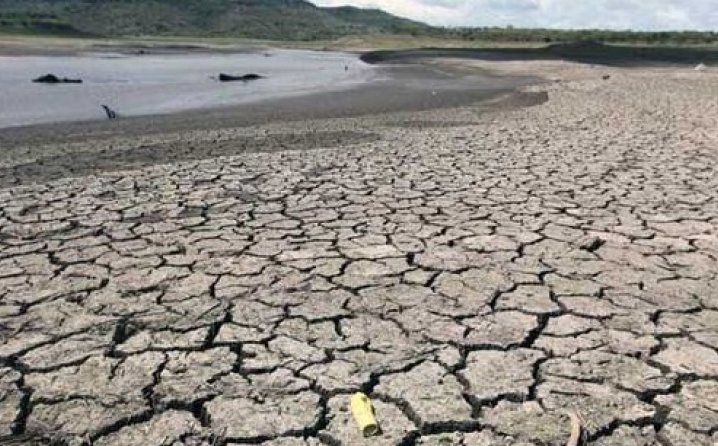Desetine miliona ljudi ostat će bez hrane