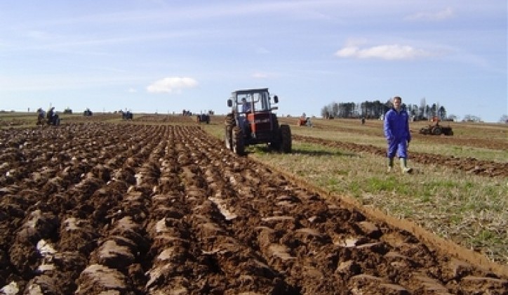 Na selu se za dva mjeseca može zaraditi koliko u gradu za cijelu godinu