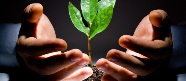 Promocija zaštite okoliša i energetske efikasnosti u Zeničko-dobojskom kantonu