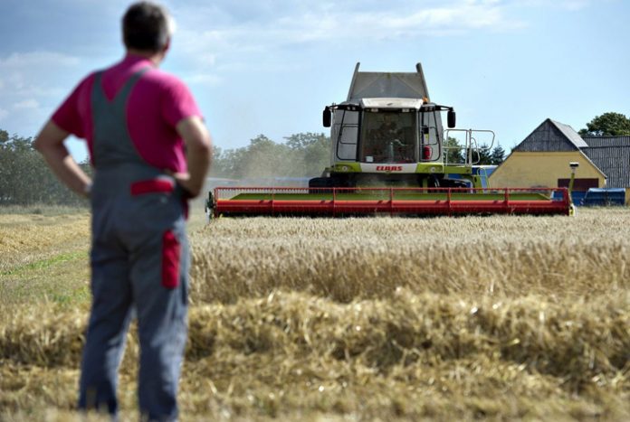 U Federaciji BiH počela isplata poticaja za poljoprivredu
