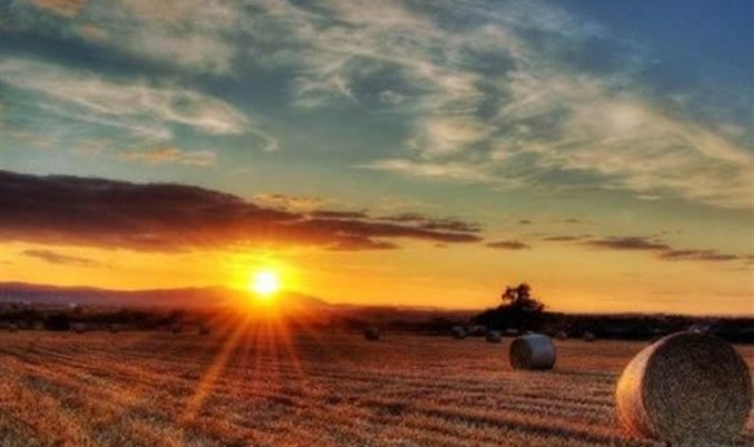 Za razvoj ruralnog poduzetništva FBiH 5,35 miliona dolara