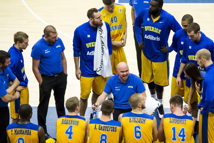 Bosnić odabrao Šveđane za duele s BiH