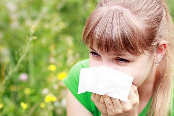 Ambrozija- prepoznajte je i zaštitite se