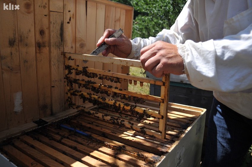 Niske temperature, pesticidi i loša politika podsticaja