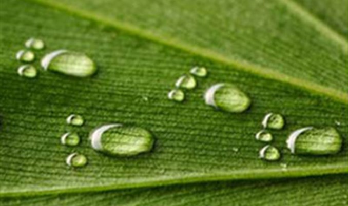 BIH IMA NAJSLABIJI NAPREDAK U REGIJI