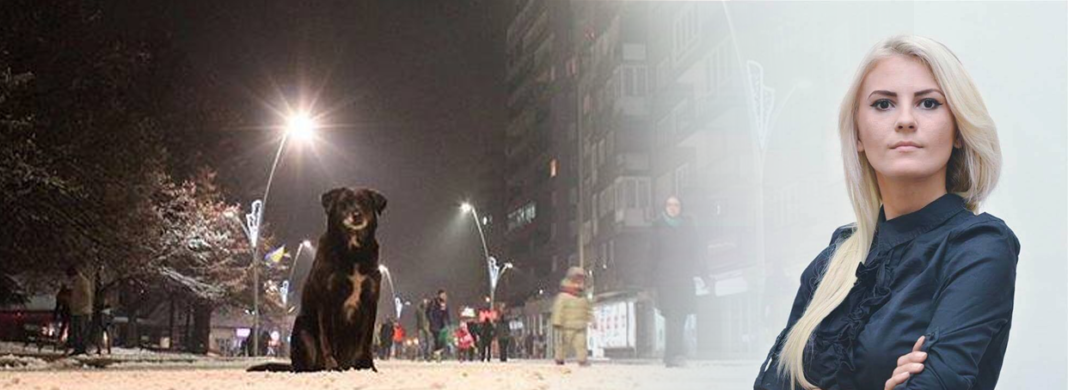 Zenička vlast ne zna riješiti problem grijanja, pa potiče na ubijanje pasa