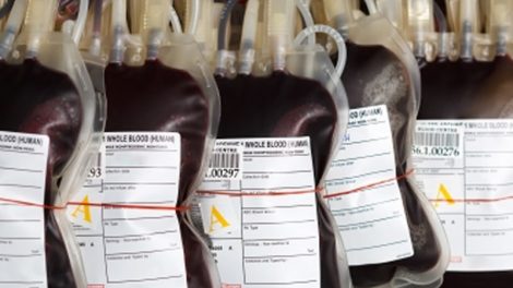 Dobrovoljno darivanje krvi