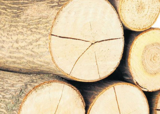 Manje carine na uvoz sirovina i u 2017.