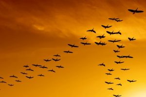 90.000 ljudi napustilo Bosnu i Hercegovinu