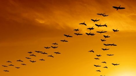 90.000 ljudi napustilo Bosnu i Hercegovinu