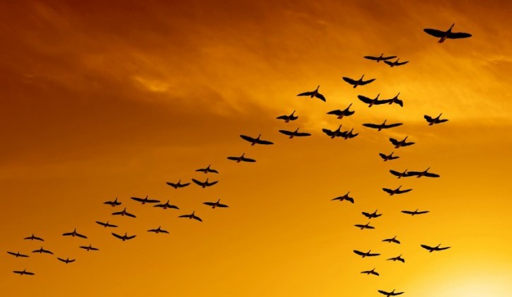 90.000 ljudi napustilo Bosnu i Hercegovinu