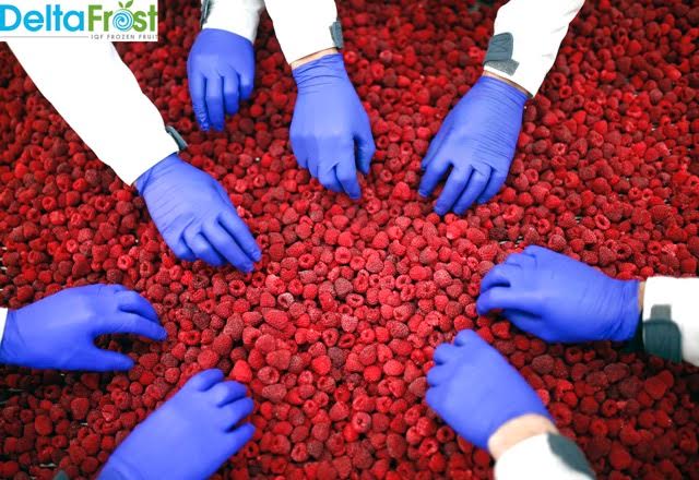 Delta Frost traži radnike za proizvodnju smrznutog voća