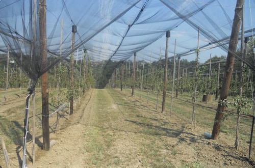 ISPLAĆENO 1,5 MILIONA KM POTICAJA POLJOPRIVREDNICIMA IZ BUDŽETA ZE-DO KANTONA