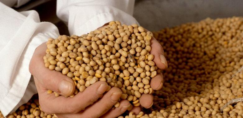 Hranu s GM sojom u BiH proizvodi čak 31 poduzeće, saznajte koja