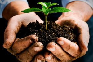 Na raspolaganju 19 miliona eura za zaštitu okoliša